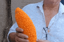 Pessoa segurando um Melão de São Caetano aberto